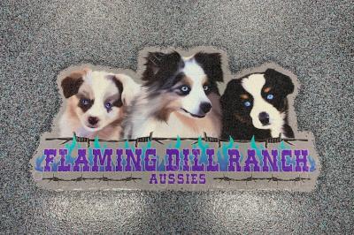 Flaming Dill Ranch Australian Shepherd decorative concrete polyaspartic coated flake floor 80/20 perf print