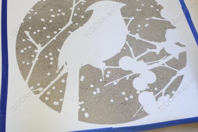 In Progress Illinois state bird the cardinal on polished concrete using 3.4 mil vinyl stencil and dye.