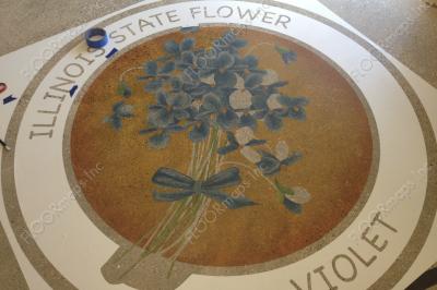 In progress Illinois state flower violet on polished concrete using 3.4 mil vinyl stencil and dye.