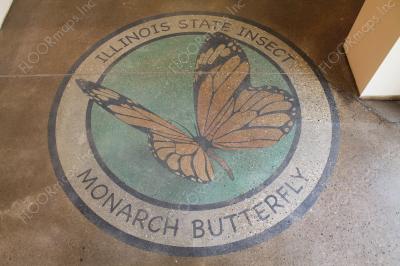Illinois state insect monarch butterfly on polished concrete using 3.4 mil vinyl stencil and dye.