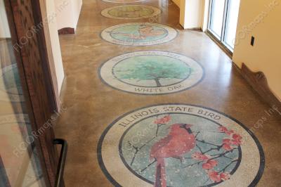Illinois state symbols on polished concrete using 3.4 mil vinyl stencil and dye.