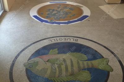 In progress Illinois state symbols installed using 3.4 mil vinyl Stencils and Dye on Polished Concrete.
