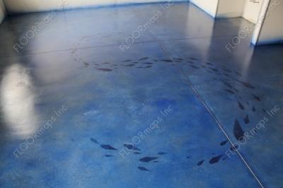 School of blue fish in a blue ocean installed on a Polished Concrete Floor using dye and 3.4 mil vinyl finished with sealer.