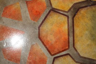 Close up of installed Aussie turtle surrounded by sand on a polished concrete floor using dye and 3.4 mil vinyl finished with sealer