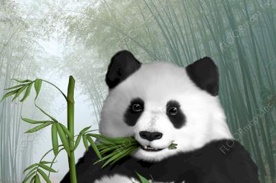 Full detail of top half for panda print with a possible background of bamboo leaves.